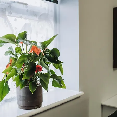 Appartement No10 2 Bedroom House With Private Garden And Driveway