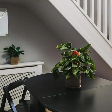 Appartement No10 2 Bedroom House With Private Garden And Driveway Bristol