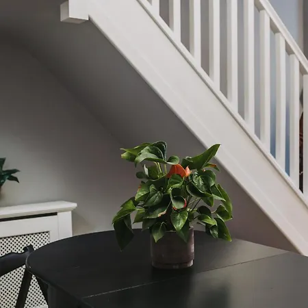 Appartement No10 2 Bedroom House With Private Garden And Driveway *