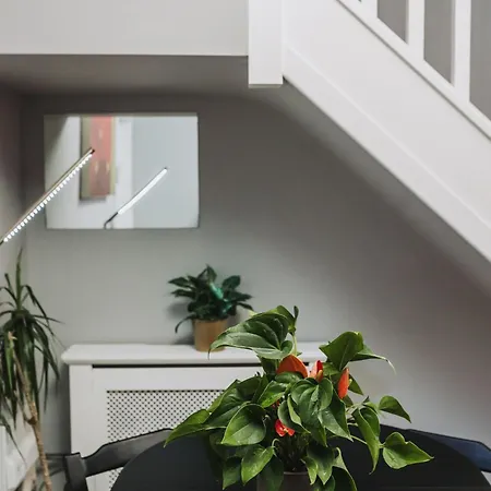 Appartement No10 2 Bedroom House With Private Garden And Driveway